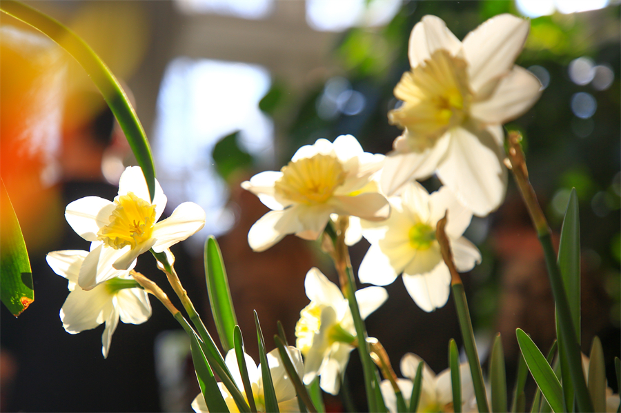 IC Photo版權(quán)作品，請(qǐng)勿轉(zhuǎn)載。