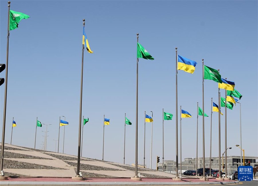 3月10日，在沙特阿拉伯吉達(dá)，沙特阿拉伯和烏克蘭兩國的國旗在道路旁飄揚(yáng)。新華社記者 王東震 攝