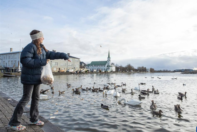 冰島首都雷克雅未克掠影