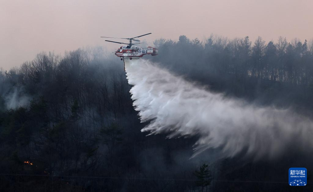 3月22日，救援直升機(jī)在韓國(guó)慶尚北道義城郡附近參與滅火。新華社/紐西斯通訊社
