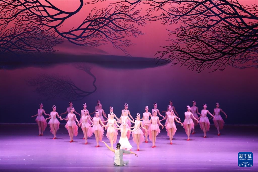 4月6日，中國上海歌舞團(tuán)演員在日本新潟表演舞劇《朱鹮》。新華社記者 陳澤安 攝