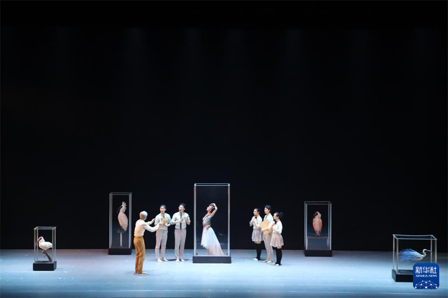 4月6日，中國(guó)上海歌舞團(tuán)演員在日本新潟表演舞劇《朱鹮》。新華社記者 陳澤安 攝