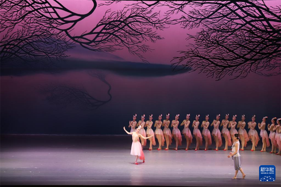 4月6日，中國上海歌舞團演員在日本新潟表演舞劇《朱鹮》。新華社記者 陳澤安 攝