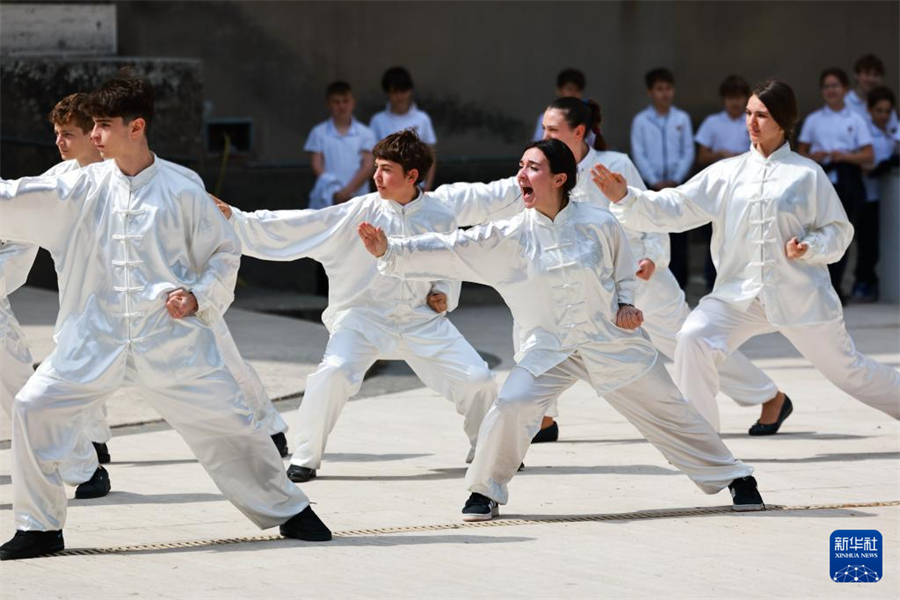 4月8日，在意大利羅馬國立住讀學(xué)校，學(xué)生們表演太極。新華社記者 李京 攝