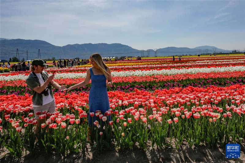 4月25日，在加拿大阿伯茨福德市，人們?cè)谟艚鹣闾镏辛粲?。新華社發(fā)（梁森攝）