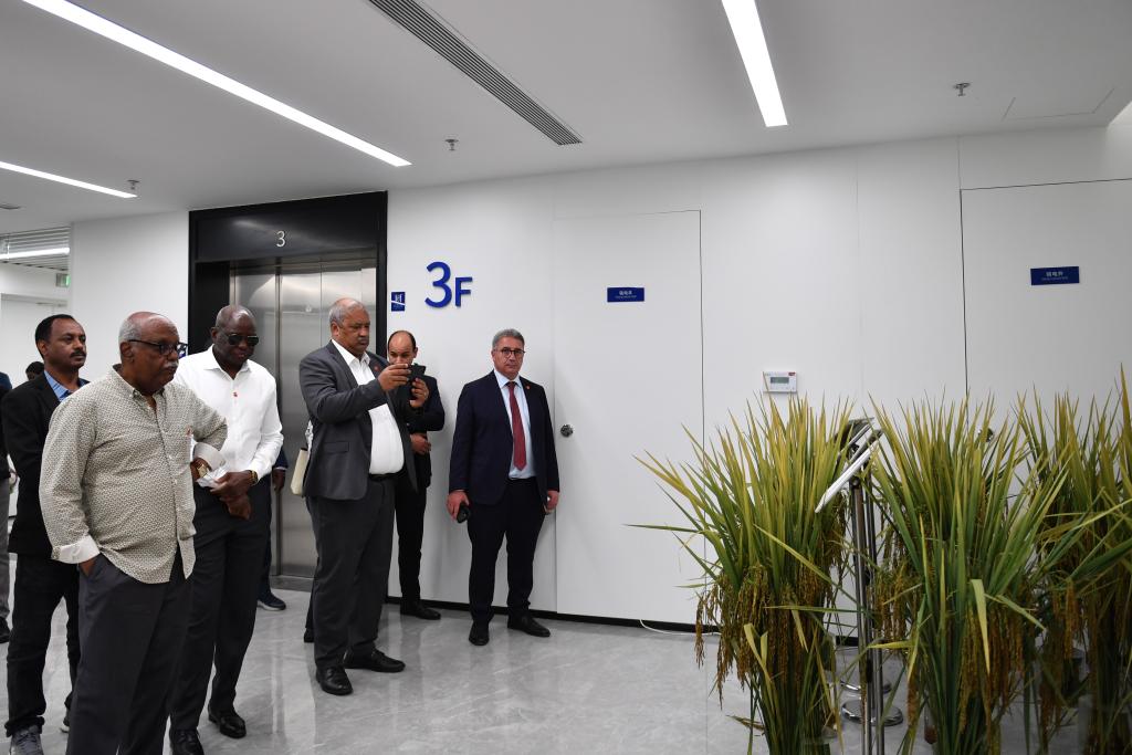 5月14日，非洲駐華使節(jié)代表團(tuán)在湖南雜交水稻研究中心參觀。新華社記者 陳振海 攝