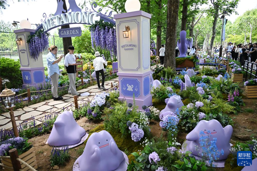5月22日，游客在韓國首爾觀賞園藝作品。新華社發(fā)（全休相攝）
