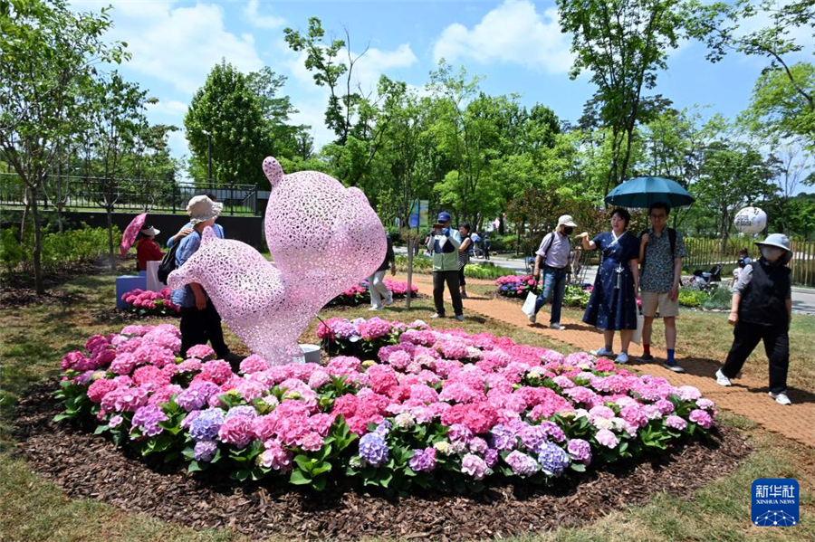 5月22日，游客在韓國(guó)首爾觀賞園藝作品。新華社發(fā)（全休相攝）