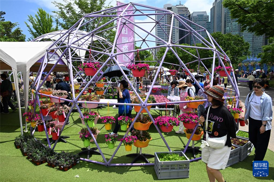 5月22日，游客在韓國首爾觀賞園藝作品。新華社發(fā)（全休相攝）