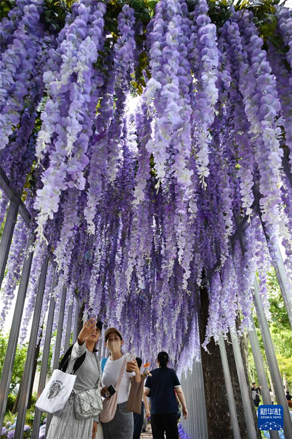 5月22日，游客在韓國(guó)首爾觀賞園藝作品。新華社發(fā)（全休相攝）