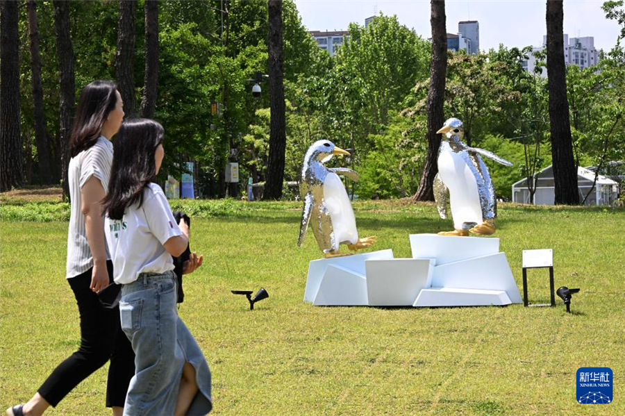 5月22日，游客在韓國(guó)首爾觀賞園藝作品。新華社發(fā)（全休相攝）