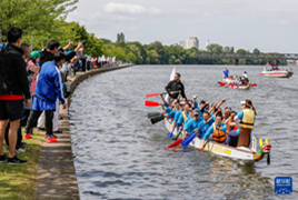 海外多地：賽龍舟 迎端午