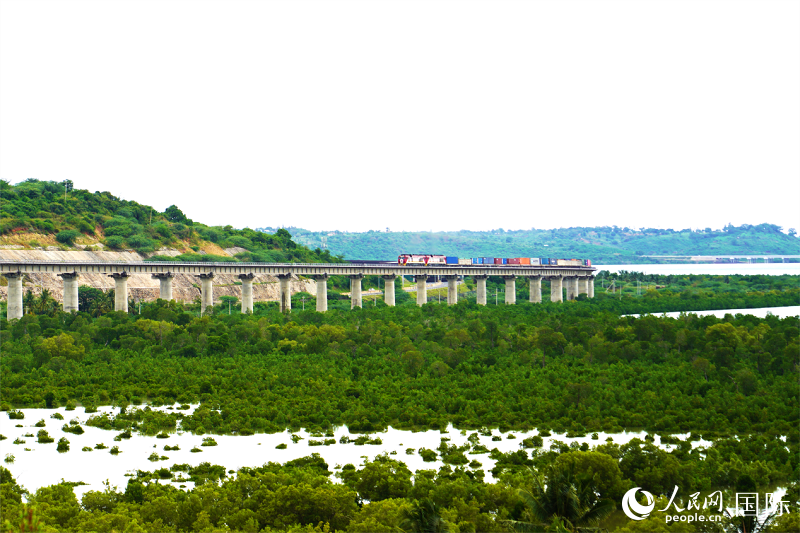 肯尼亞蒙巴薩紅樹林旁，一列貨運列車行駛在蒙內(nèi)鐵路線上。人民網(wǎng)記者 黃煒鑫攝