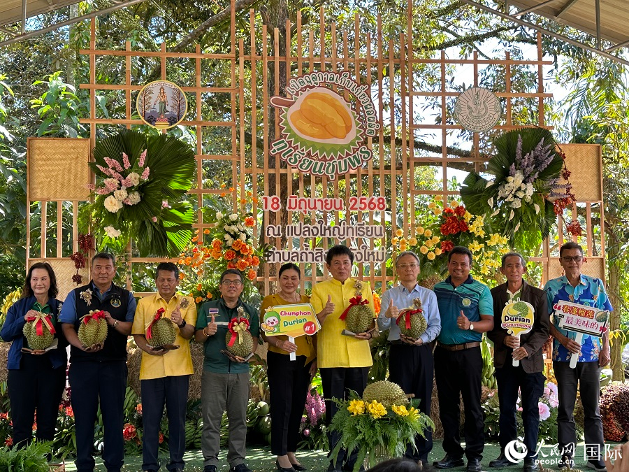 泰國南部春蓬府舉辦榴蓮節(jié)。人民網(wǎng)記者 孫廣勇攝