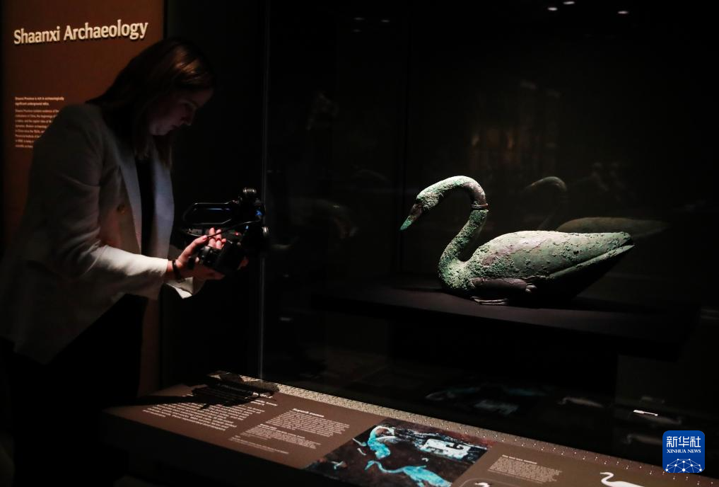 　　6月25日，媒體人員拍攝在澳大利亞珀斯西澳博物館展出的展品。新華社記者 馬平 攝