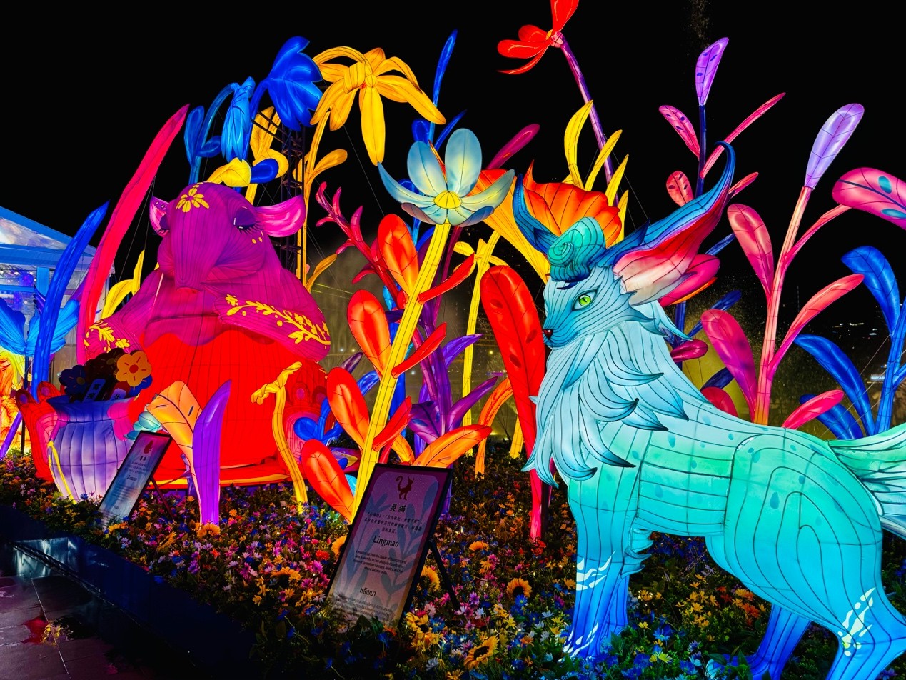 燈會(huì)現(xiàn)場。丁溢攝