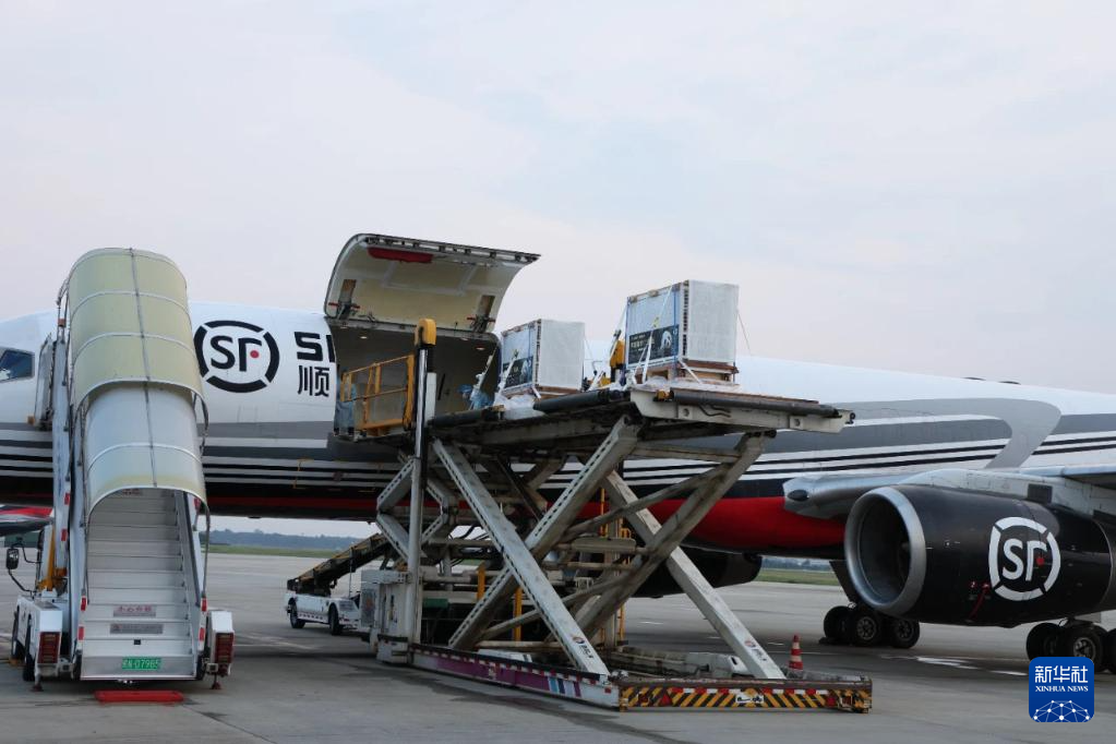 6月28日，搭載大熊貓“良浜”“結(jié)浜”“彩浜”“楓浜”的飛機(jī)抵達(dá)成都雙流國(guó)際機(jī)場(chǎng)。新華社發(fā)（成都大熊貓繁育研究基地供圖）
