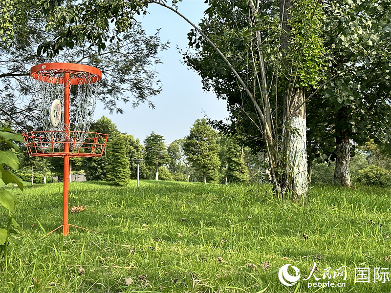 飛盤入筐瞬間。 人民網(wǎng) 孫書宇攝