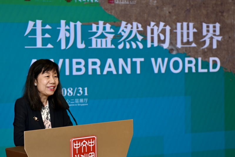 新加坡駐聯(lián)合國(guó)教科文組織大使陳慧致辭。新加坡中國(guó)文化中心供圖