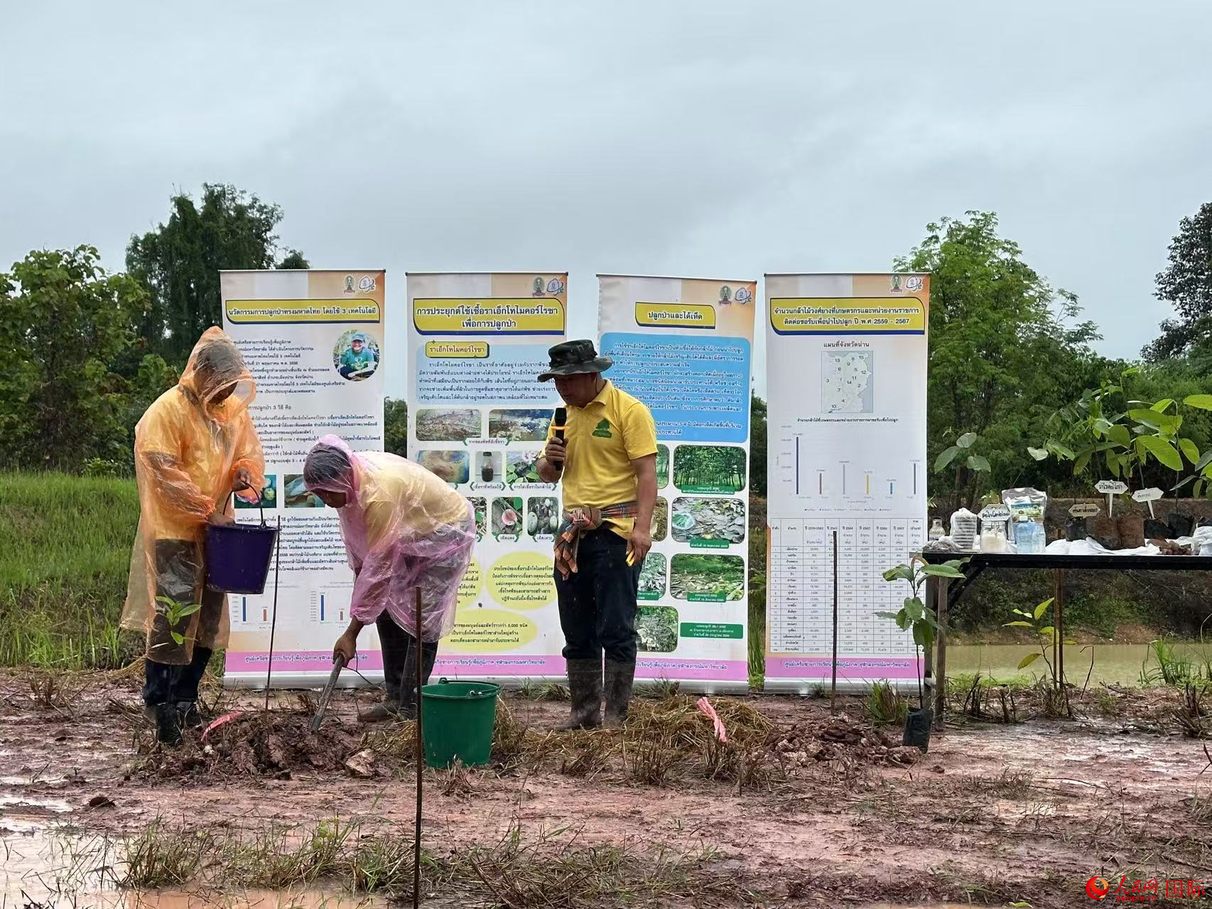 泰國民眾在楠府植樹造林。人民網(wǎng)記者 孫廣勇攝
