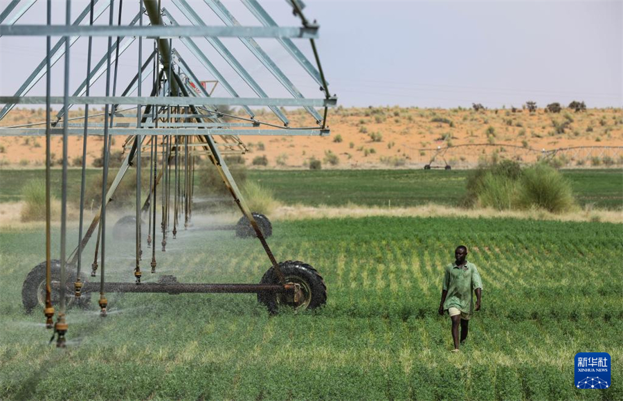 7月18日，在毛里塔尼亞伊迪尼村，牧民在中國援毛里塔尼亞畜牧業(yè)技術(shù)示范中心的紫花苜蓿田檢查噴灌設(shè)備的運(yùn)行情況。新華社記者 韓旭 攝