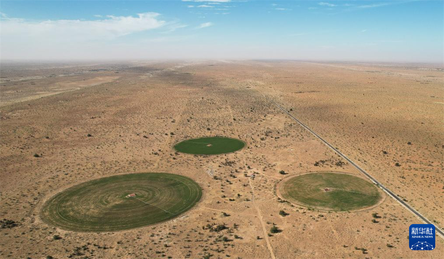 這是1月18日在毛里塔尼亞伊迪尼村中國援毛里塔尼亞畜牧業(yè)技術(shù)示范中心拍攝的三處紫花苜蓿田（無人機(jī)照片）。新華社記者 司源 攝