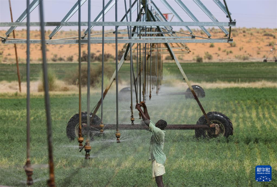 7月18日，在毛里塔尼亞伊迪尼村，牧民在中國(guó)援毛里塔尼亞畜牧業(yè)技術(shù)示范中心的紫花苜蓿田檢查噴灌設(shè)備的運(yùn)行情況。新華社記者 韓旭 攝