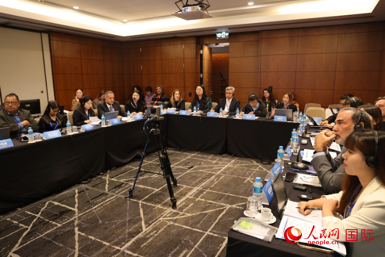 7月25日，第二屆中拉人權圓桌會在巴西圣保羅舉行。圖為與會代表參與平行分論壇。人民網(wǎng)記者 時元皓攝