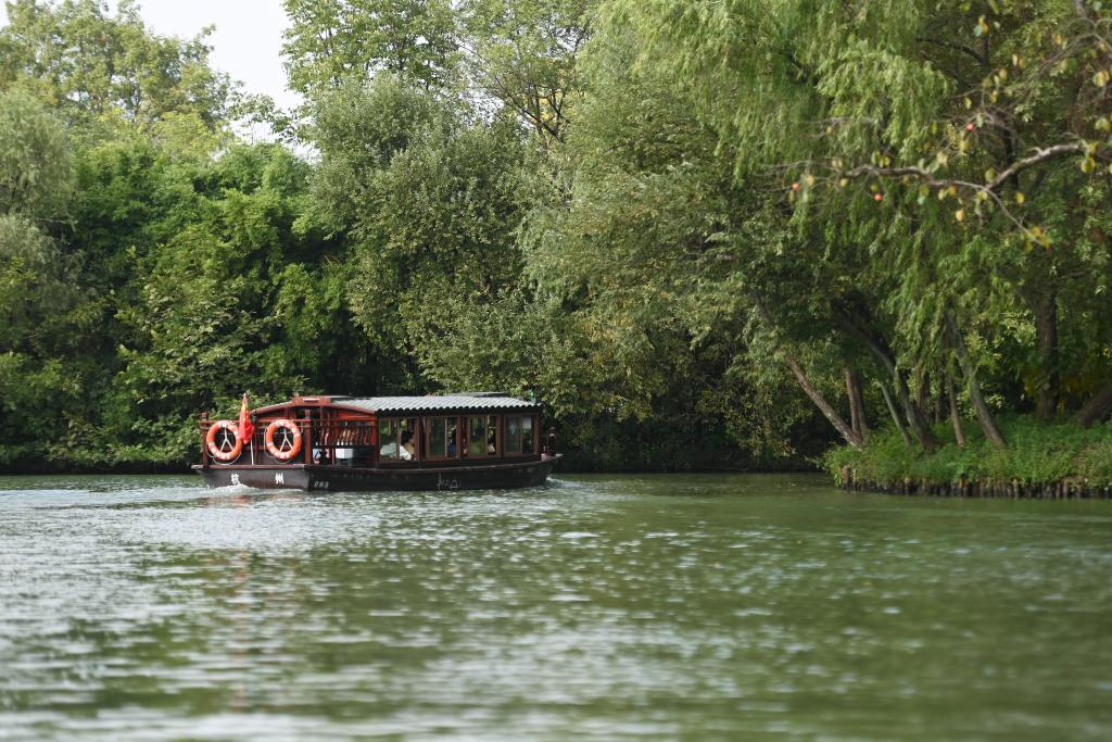 2024年10月24日，游客乘坐游船在浙江杭州西溪濕地觀光。新華社記者黃宗治攝