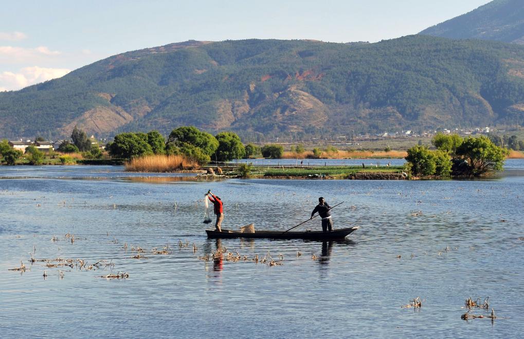 2014年2月19日，兩名白族漁民在云南省大理白族自治州洱源縣西湖國家濕地公園勞作。新華社記者藺以光攝