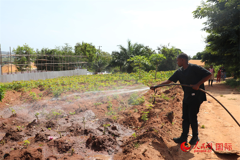 家住在基夫魯?shù)貐^(qū)的托比亞西·曼戈萊正在農(nóng)場灌溉。人民網(wǎng)記者 沈小曉攝