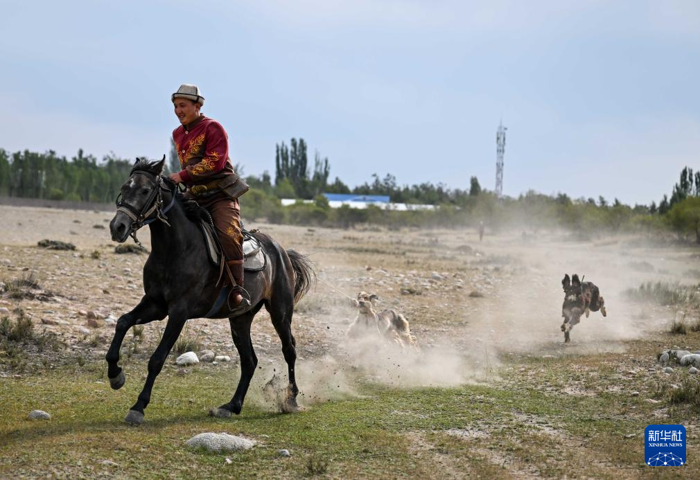 8月16日，在吉爾吉斯斯坦喬爾蓬阿塔附近，獵人努爾蘇丹表演狩獵。新華社記者 李任滋 攝