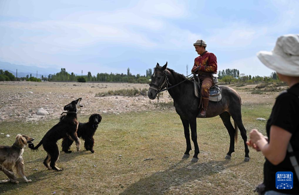 8月16日，在吉爾吉斯斯坦喬爾蓬阿塔附近，獵人努爾蘇丹獎(jiǎng)勵(lì)獵犬。新華社記者 李任滋 攝