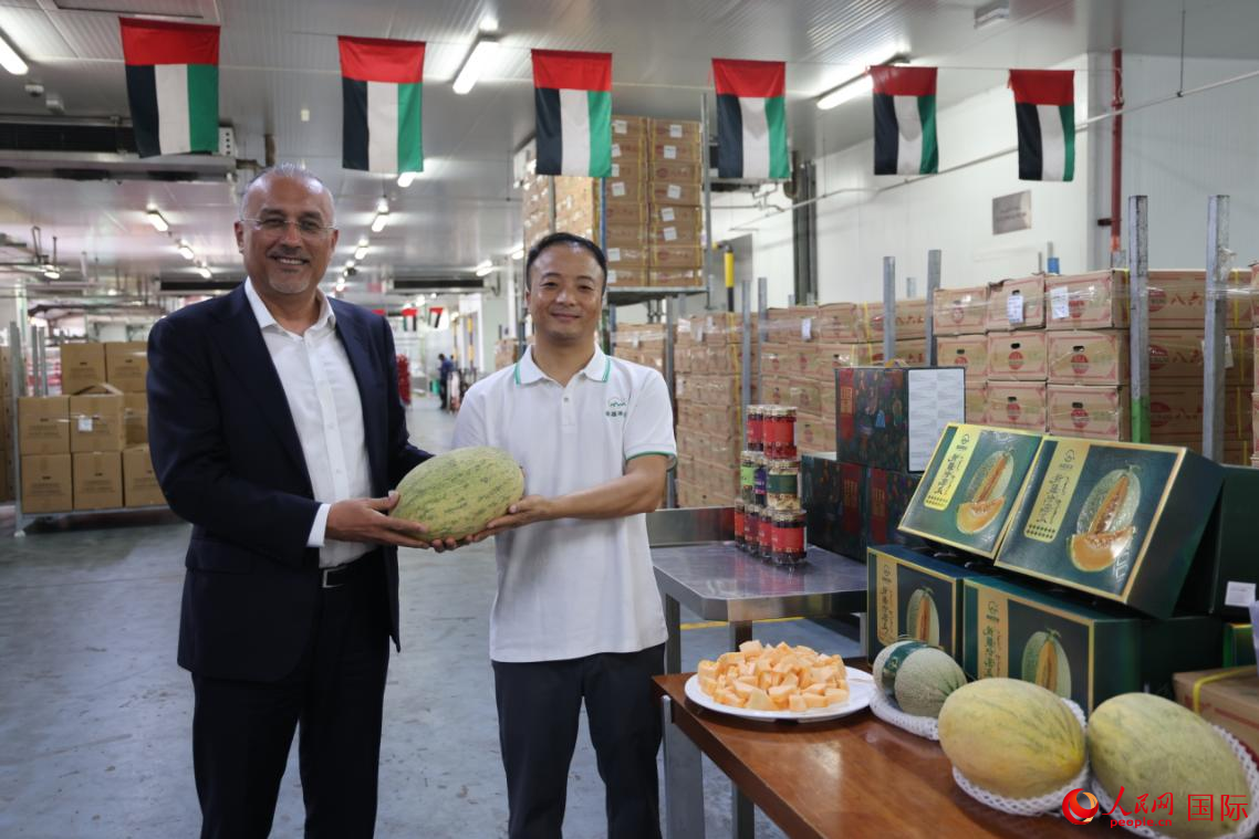 在位于迪拜的物流冷庫(kù)，阿聯(lián)酋中國(guó)新疆商會(huì)會(huì)長(zhǎng)阿不來(lái)提（左）與新疆果業(yè)代表共同展示此次運(yùn)抵的蜜瓜產(chǎn)品，人民網(wǎng)記者張志文攝