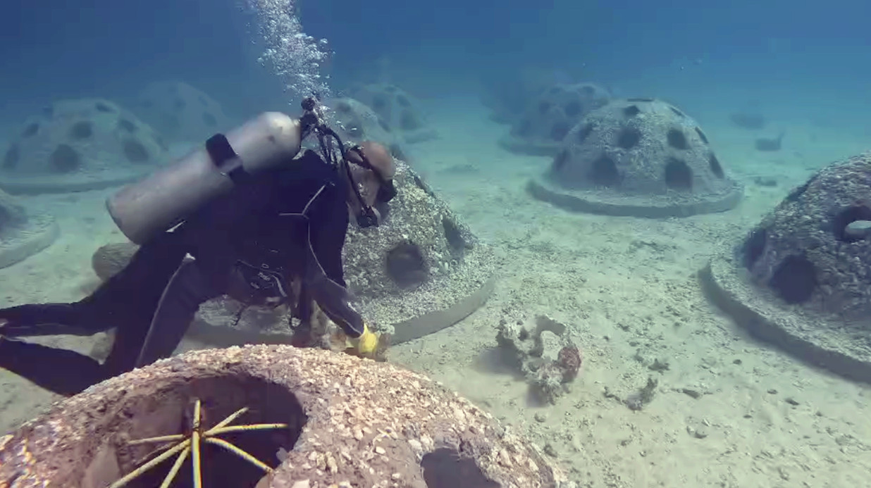 工作人員查看“珊瑚小屋”情況。中國港灣供圖