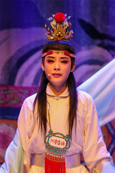 《紅樓夢·葬花吟》。許立群 攝