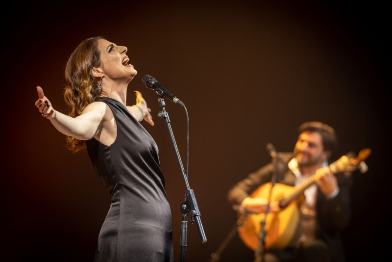 以往演出照片。受訪者供圖