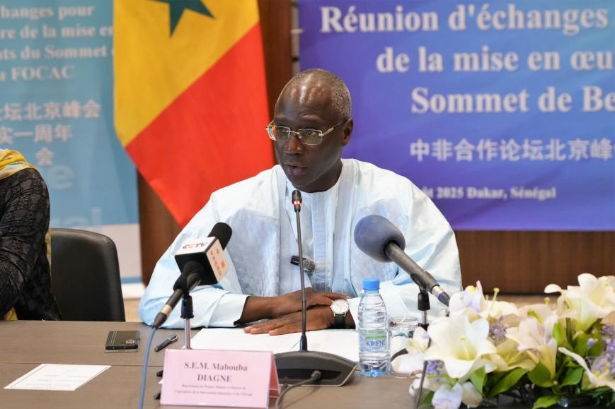 圖為塞內(nèi)加爾總理特別代表、農(nóng)業(yè)部長迪亞涅致辭。中國駐塞內(nèi)加爾大使館供圖