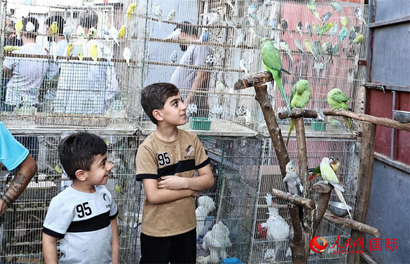 兩名小朋友在觀看加扎利市場的鸚鵡。人民網(wǎng) 伊納斯·易卜拉欣攝