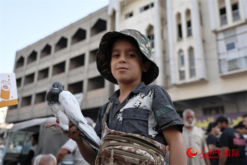 信鴿少年。人民網(wǎng) 伊納斯·易卜拉欣攝