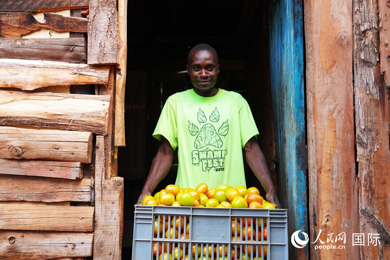 當?shù)剞r(nóng)民保羅·穆內(nèi)內(nèi)使用番茄嫁接技術(shù)后迎來豐收，正向記者展示剛采摘的番茄。人民網(wǎng)記者 黃煒鑫攝