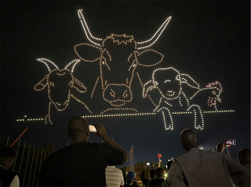 民眾紛紛拍照留念。主辦方供圖