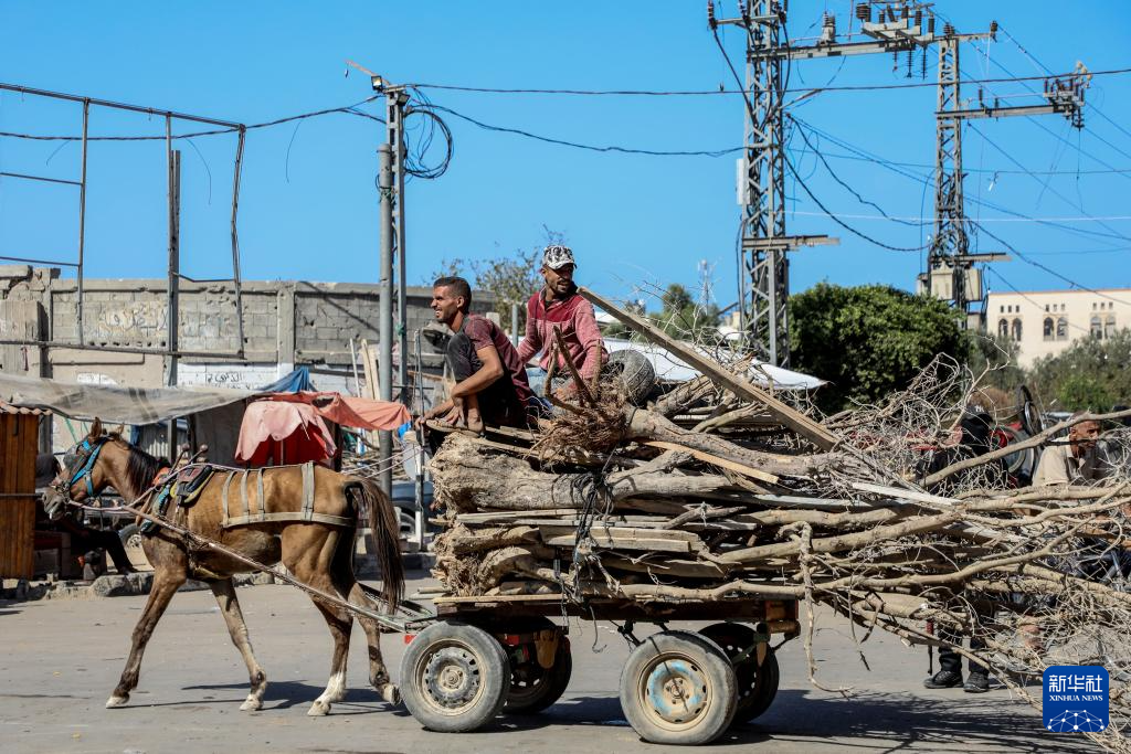 10月11日，加沙地帶南部的巴勒斯坦人經(jīng)由以軍指定通道薩拉赫丁公路返回北方。新華社發(fā)（里澤克·阿卜杜勒賈瓦德 攝）
