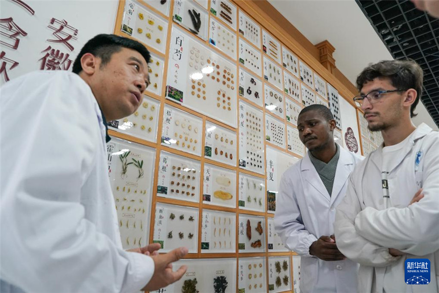 10月16日，來自阿爾及利亞的藥學專業(yè)大二學生常健安（右）和來自津巴布韋的吳春（中）在老師潘銀星的帶領下認識中藥材及其功效。新華社記者 杜宇 攝