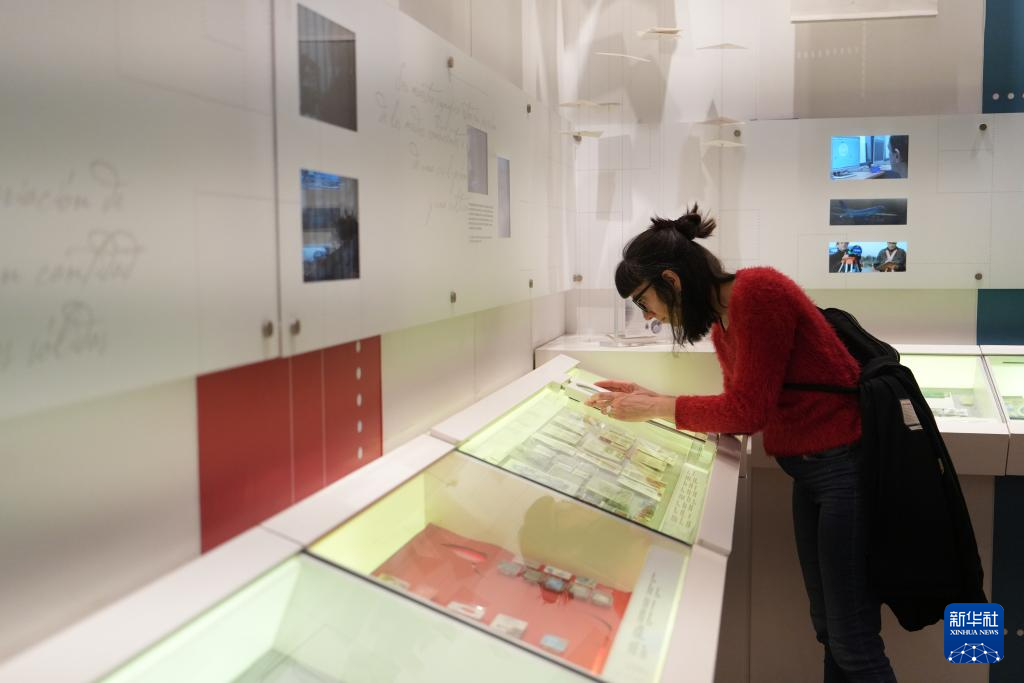 11月8日晚，一名觀眾在位于阿根廷布宜諾斯艾利斯自由宮內(nèi)的郵票博物館參觀。新華社記者 張鐸 攝