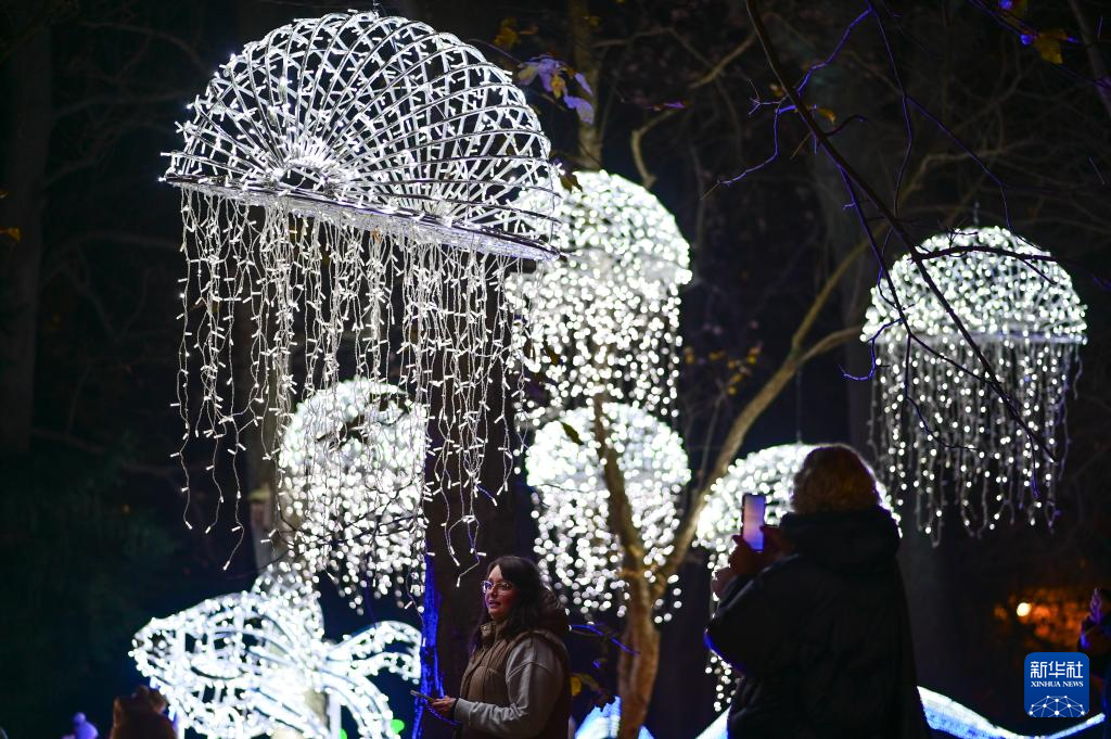11月8日，游客在波蘭華沙大學(xué)參觀“魔法植物園”燈光展。新華社發(fā)（阿列克謝·維特維茨基攝）