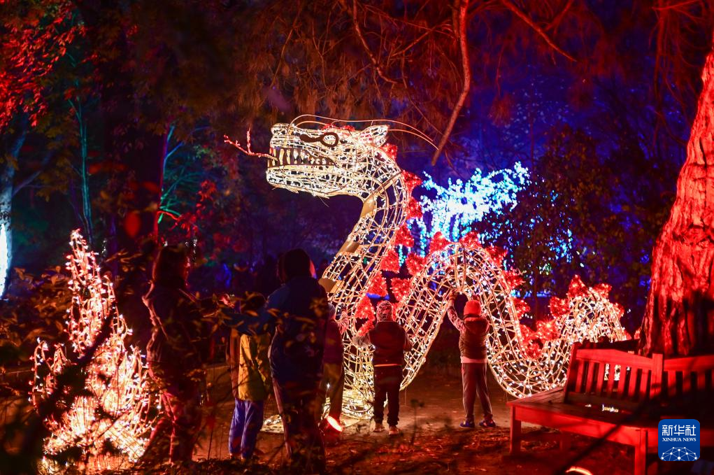 11月8日，游客在波蘭華沙大學(xué)參觀“魔法植物園”燈光展。新華社發(fā)（阿列克謝·維特維茨基攝）