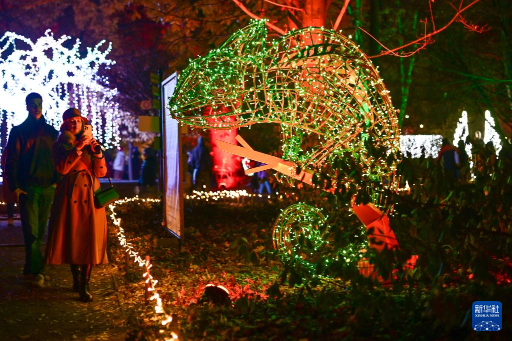 11月8日，游客在波蘭華沙大學(xué)參觀“魔法植物園”燈光展。新華社發(fā)（阿列克謝·維特維茨基攝）