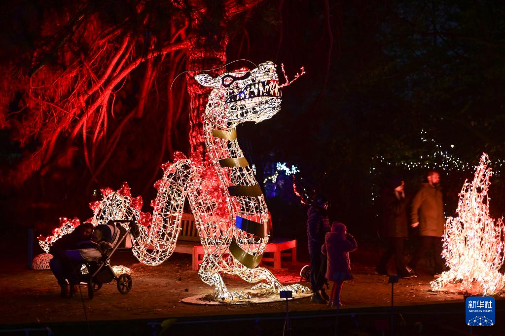 11月8日，游客在波蘭華沙大學(xué)參觀“魔法植物園”燈光展。新華社發(fā)（阿列克謝·維特維茨基攝）