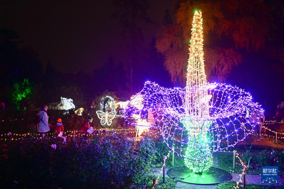 11月8日，游客在波蘭華沙大學(xué)參觀“魔法植物園”燈光展。新華社發(fā)（阿列克謝·維特維茨基攝）